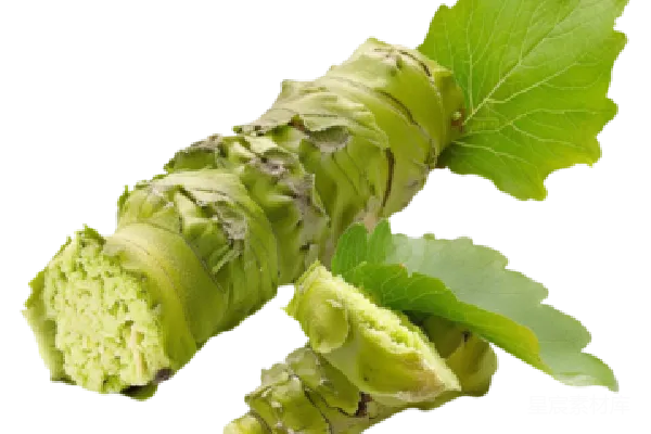 元素素材 Wasabi