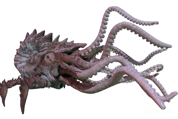 元素素材 kraken