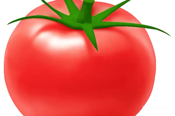 元素素材 西红柿