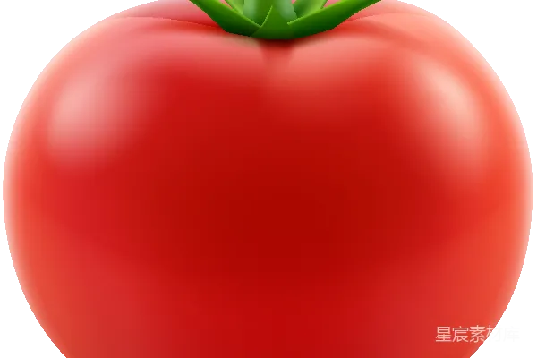 元素素材 红番茄插图