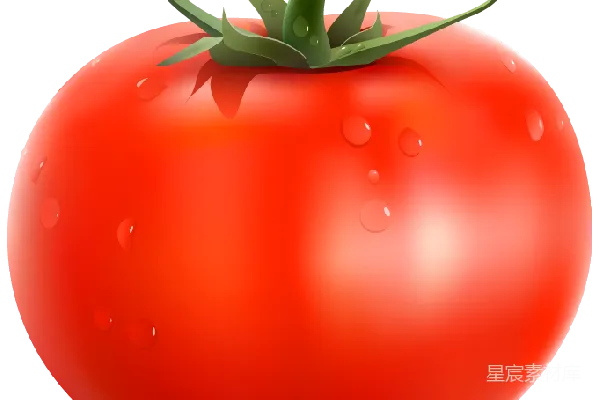 元素素材 透明的