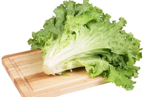 元素素材 照片