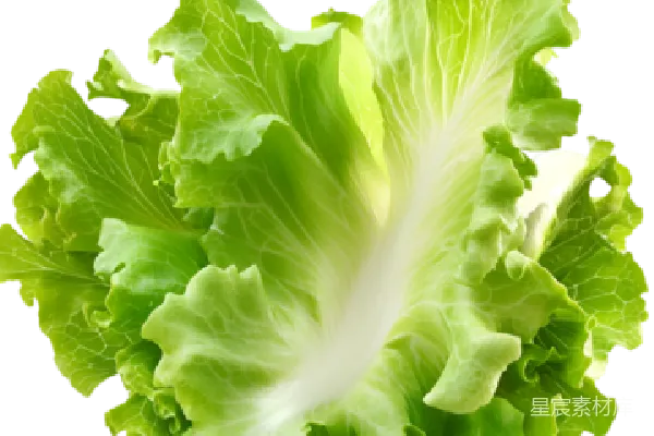 元素素材 透明