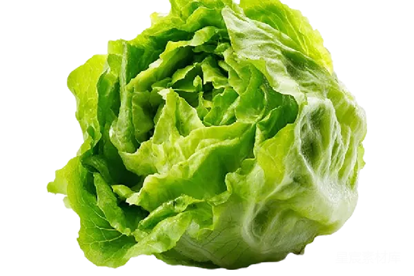 元素素材 沙拉