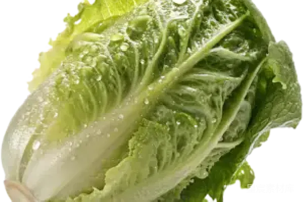 元素素材 新鲜