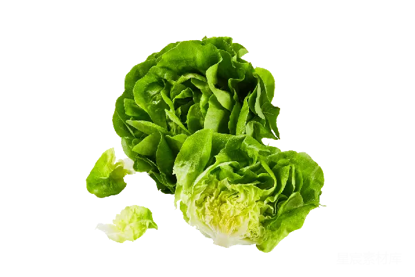 元素素材 生菜