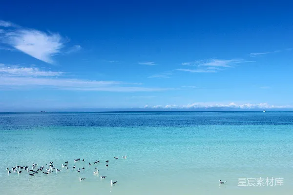 高清摄影 海滩上的人在白天