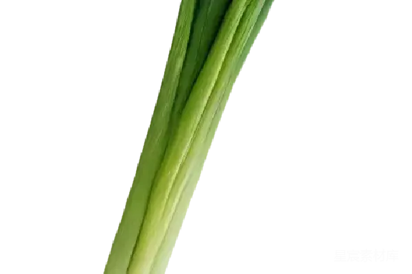 元素素材 PNG