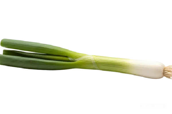 元素素材 透明