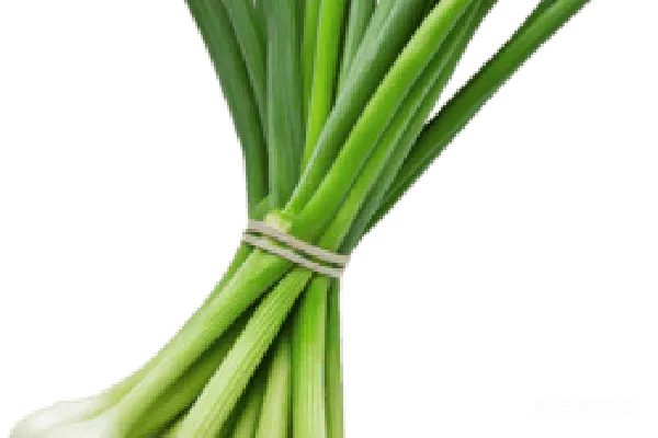 元素素材 绿色