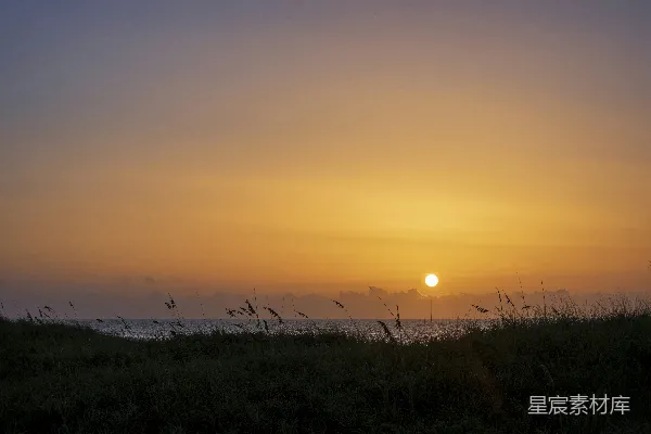 高清摄影 夕阳下的绿草地