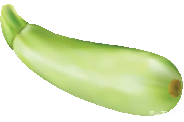 元素素材 西葫芦