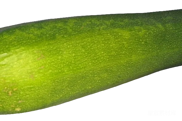 元素素材 西葫芦