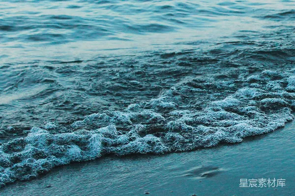 高清摄影 海滩上一只鸟站在海边