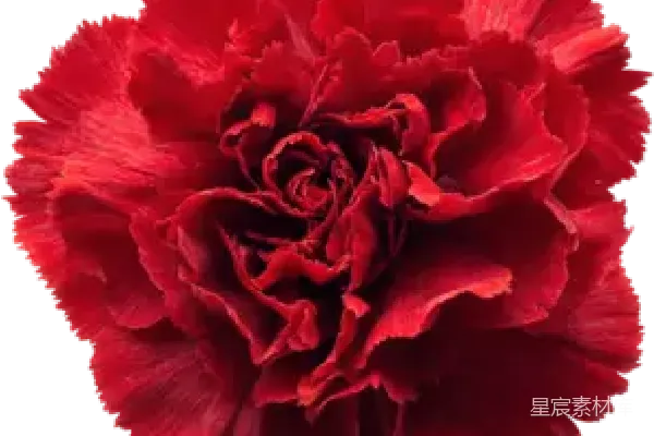 元素素材 红色