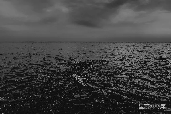 高清摄影 海浪的黑白照片