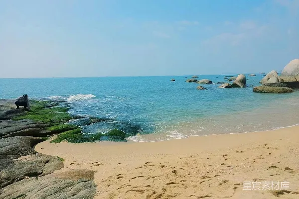 高清摄影 海滩上的人们在白天