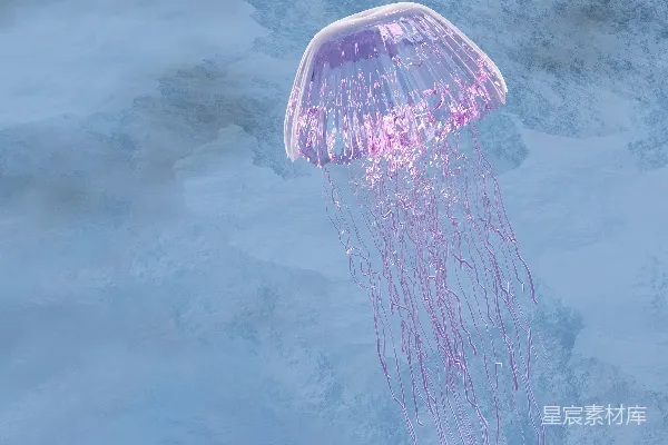 高清摄影 粉色的水母漂浮在水池中