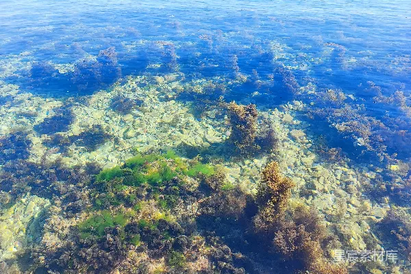 高清摄影 飞机上看海的景色