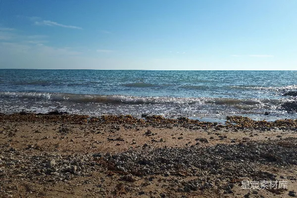 高清摄影 海滩上看向大海的景色