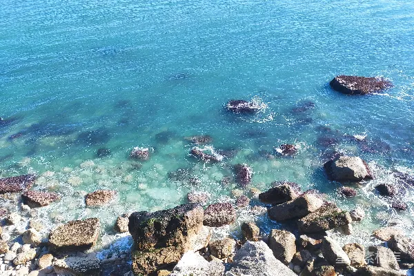 高清摄影 一块岩石嶙峋的海滩，清澈的蓝色海水和大大小小的石头。
