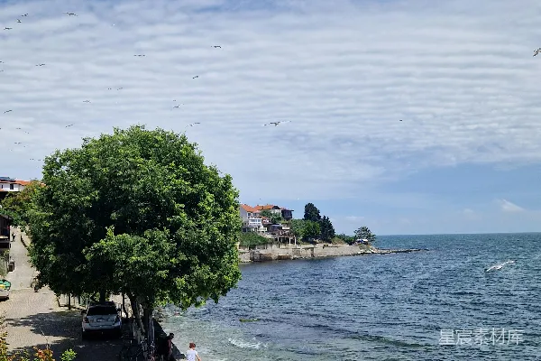 高清摄影 一群鸟在水体上方飞行