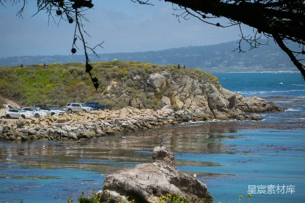 高清摄影 树影中的海景。