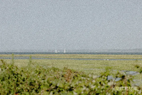 高清摄影 一架飞机正在草地上空飞行。