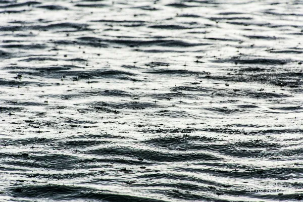 高清摄影 白天的蓝色水面