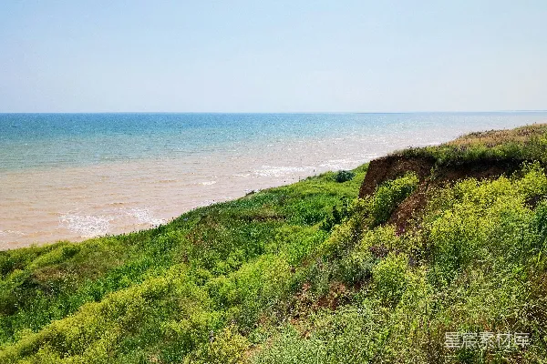 高清摄影 海边白天近处的绿色草地