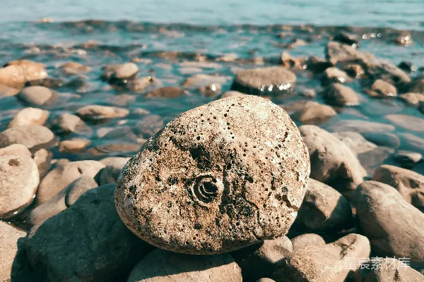 高清摄影 海滩上的石头