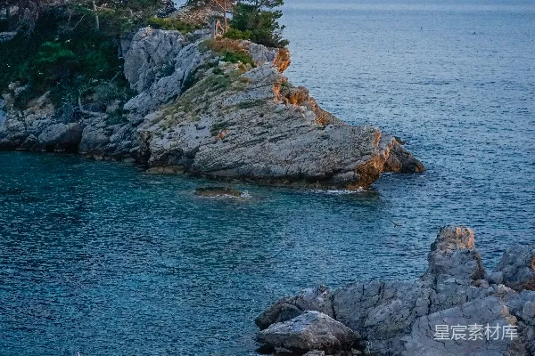 高清摄影 崎岖的海岸线旁有树木