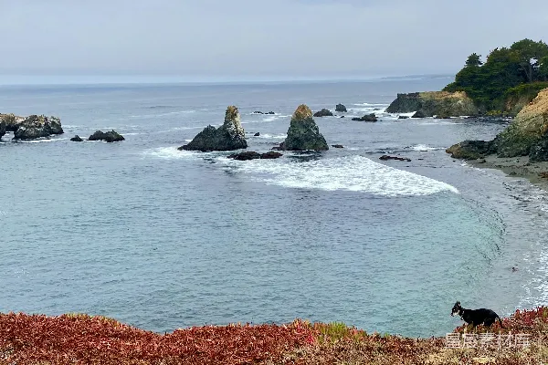 高清摄影 白天海中的黑色岩石形成