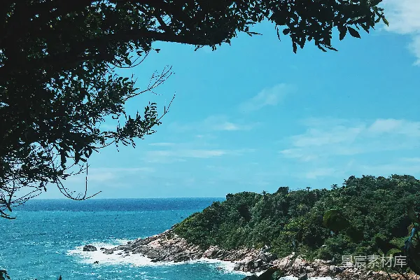 高清摄影 前景中有树木的一片水域的景象