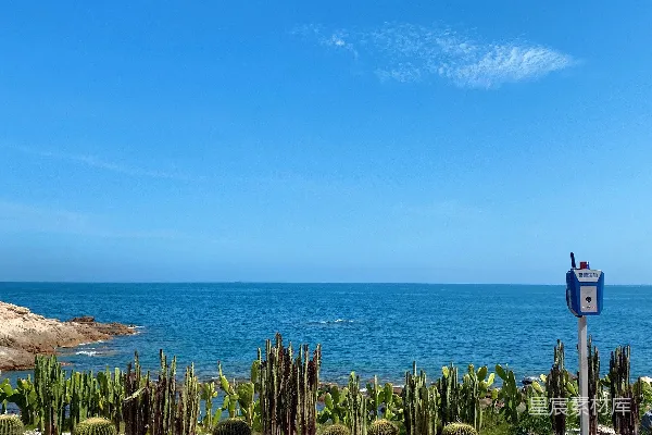高清摄影 白天绿色植物附近有蓝色海洋，在蓝天之下。