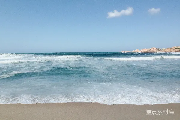 高清摄影 海滩上一只鸟站在海边