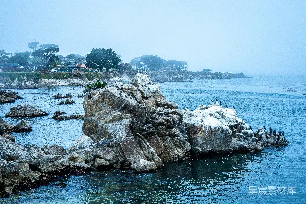 高清摄影 一群鸟儿坐在水中的岩石上