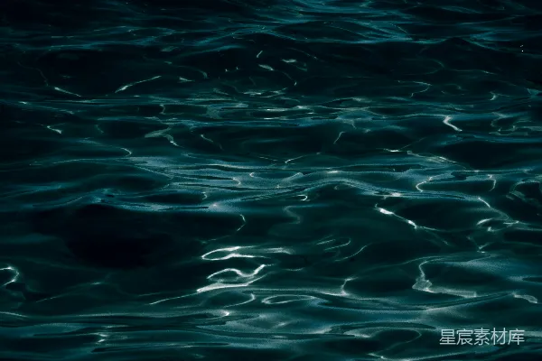 高清摄影 一只鸟在水面上方飞翔