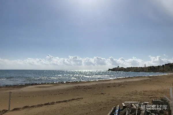 高清摄影 一片覆盖着木头的海滩和一处水域