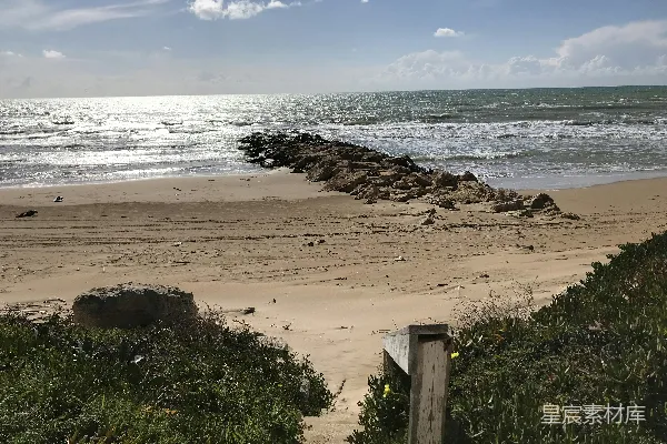 高清摄影 一片沙滩上有岩石和植物的场景