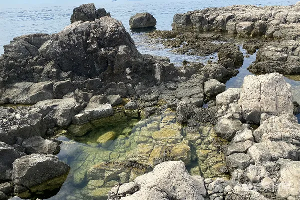 高清摄影 岩石嶙峋的海边