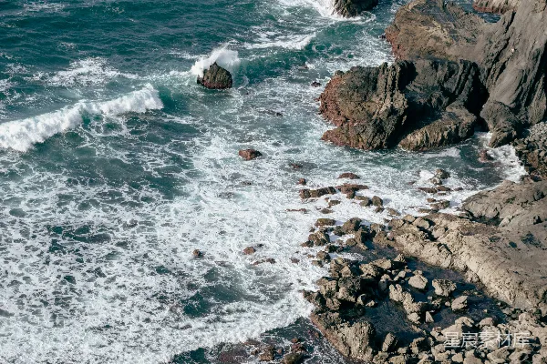 高清摄影 一只鸟在海边的岩石旁飞越海洋