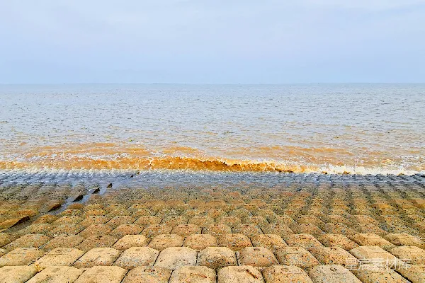 高清摄影 砖砌小径旁的海景