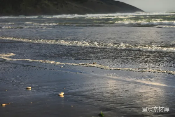高清摄影 波浪拍打着湿漉漉的沙滩。