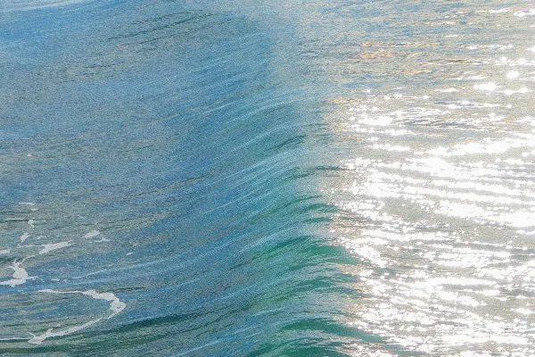 高清摄影 一个男人骑在冲浪板上 surfing一朵波浪