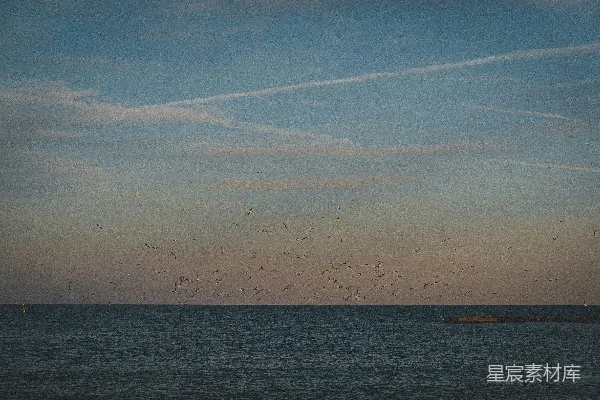 高清摄影 夕阳下海上的鸟群飞过