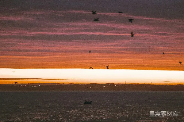 高清摄影 海面上夕阳时飞翔的鸟儿