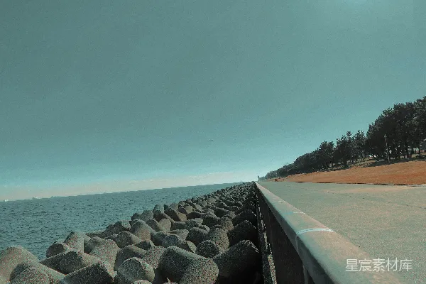 高清摄影 一条路旁边有一片水域