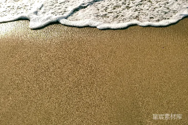 高清摄影 海滩上的特写镜头