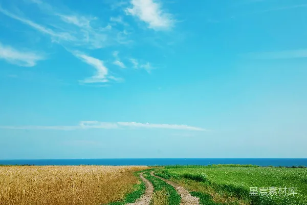 高清摄影 白天绿草丛生的田野靠近水面，蓝天之上。